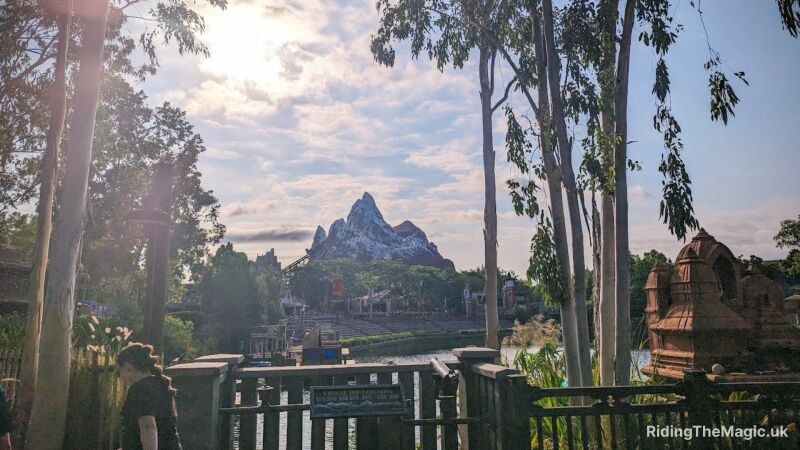blue sky sun coming up over mountain in  centre steps at bottom of mountain for arena bamboo and trees to forefront animal kingdom early entry morning