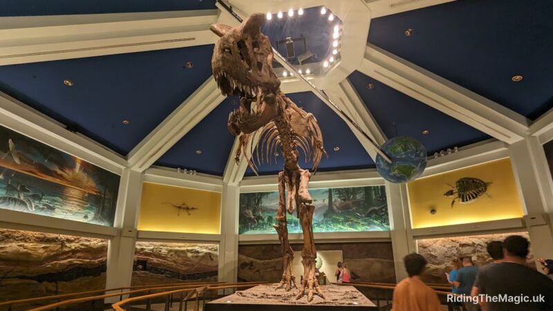 A T-Rex skeleton is displayed in a museum with a blue ceiling and large murals